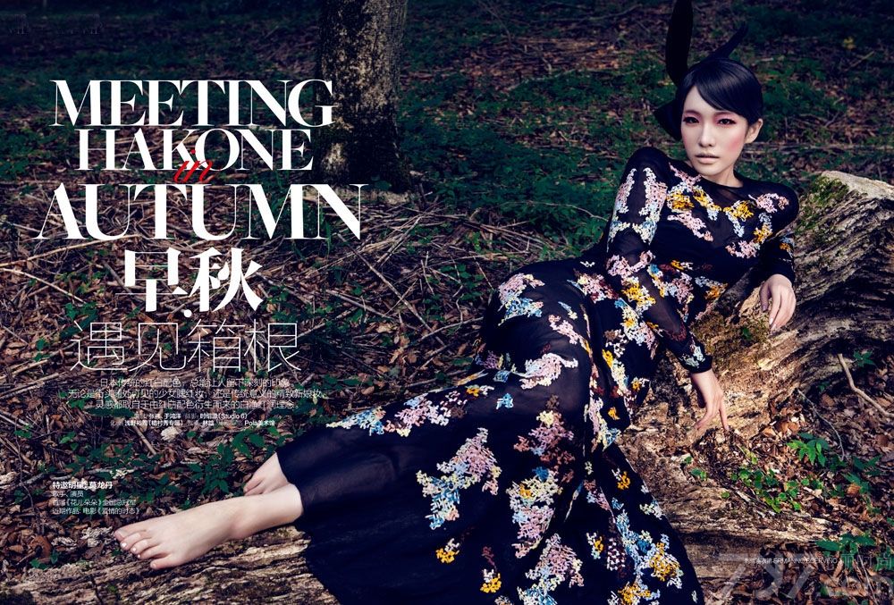 莫龙丹（Eleven），1989年7月17日出生于广西壮族自治区河池市，中国内地女歌手、演员。
2010年度参赛青海卫视《花儿朵朵》比赛，荣获全国总冠军 。2012年出演微电影《C017码头》，并凭借该电影获九分钟电影锦标赛”最佳人气女演员“奖及第三届北京国际电影节”最佳女演员“奖。近日，她在日本拍摄一组《费加罗》大片，日本装扮尽显大气优雅，写真完全承现出莫龙丹完美的女神气质。