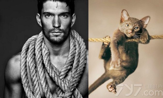 这组美男明星模特们与猫咪的对照系列组图，将各种形态的照片与萌宠猫咪对应起来，呈现出不同的男性美，绝对是花痴MM们的大福利！看完这组照片你想把哪种类型的男人和萌猫带回家呢？