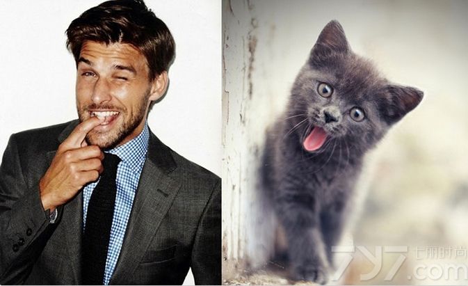 这组美男明星模特们与猫咪的对照系列组图，将各种形态的照片与萌宠猫咪对应起来，呈现出不同的男性美，绝对是花痴MM们的大福利！看完这组照片你想把哪种类型的男人和萌猫带回家呢？