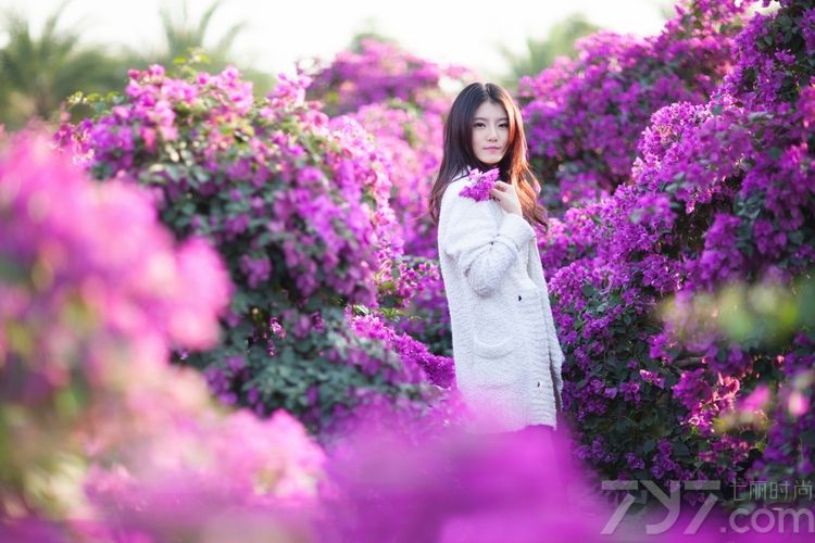 清纯甜美的女生总是让人心情愉快，新年之季，送上一组福利照给大家，甜美的长相，精致的五官，身穿白色毛衣外套，休闲时尚，在一片紫色的花海中自由的玩耍着，再加上那甜美的笑容，简直要把人融化了。