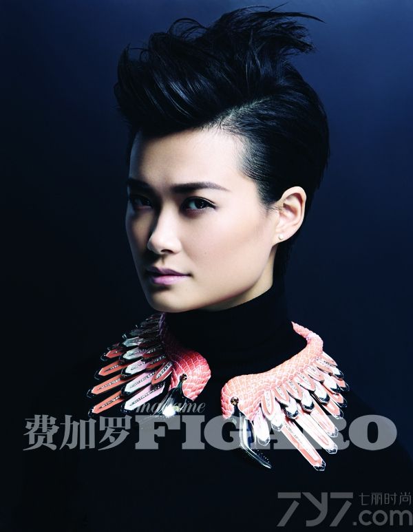 <p>李宇春首登2013《费加罗》国际大刊 演绎别样&ldquo;性感&rdquo;</p>
