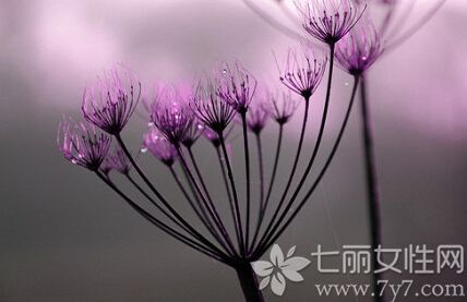 模特美女一直是男人心中的心头好，下面为大家分享一组超高清模特美女诱惑私房照，狐媚的长相，火辣的身材，身穿各种吊带情趣内衣，在家大摆诱人POSS，风骚性感尽展熟女风情。