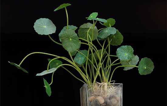 皮肤过敏干燥怎么办,皮肤过敏很干燥怎么办,皮肤过敏干燥脱皮