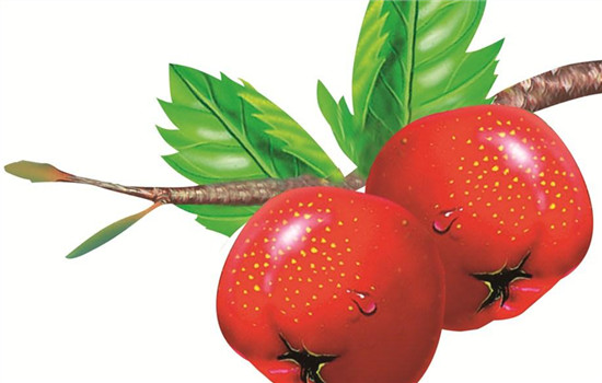 哪种中药减肥最有效,什么中药可以减肥,减脂肪的中药有哪些