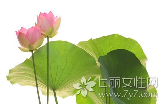 哪种中药减肥最有效,什么中药可以减肥,减脂肪的中药有哪些