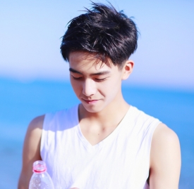 送给领导新年祝福语,2016给领导新年祝福语,领导新